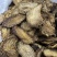 肉苁蓉鲜干片内蒙古阿拉善油切片泡茶非新疆