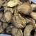 肉苁蓉鲜干片内蒙古阿拉善油切片泡茶非新疆