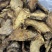 肉苁蓉鲜干片内蒙古阿拉善油切片泡茶非新疆