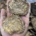 肉苁蓉鲜干片内蒙古阿拉善油切片泡茶非新疆