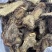 肉苁蓉鲜干片内蒙古阿拉善油切片泡茶非新疆