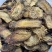 肉苁蓉鲜干片内蒙古阿拉善油切片泡茶非新疆