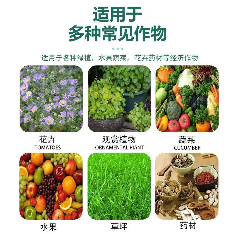 鲁丰肥料促进开花结果颗粒硼微量元素肥提高坐果率减少畸形果