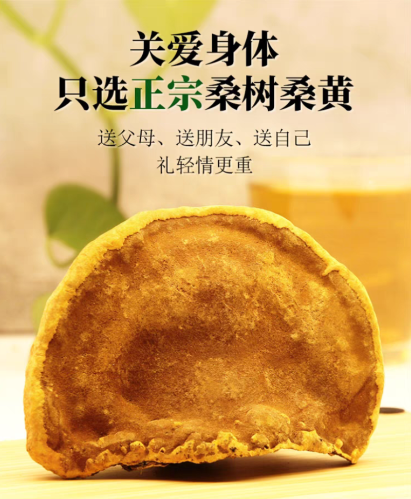 桑黄西藏桑树桑黄优质桑黄规格齐全货源充足闪电发货