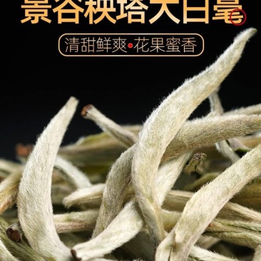 云南景谷无量山白毫银针