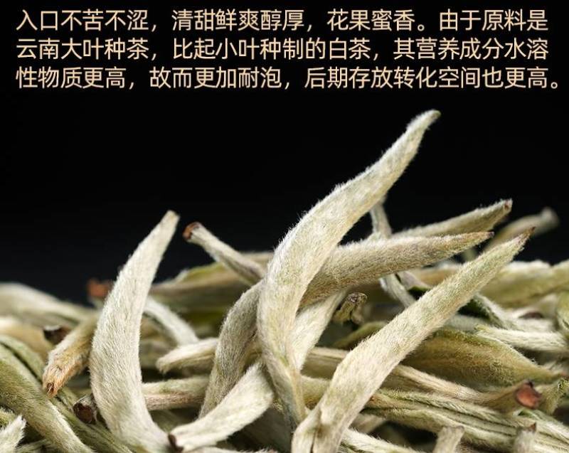 云南景谷无量山白毫银针