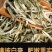 云南景谷无量山白毫银针
