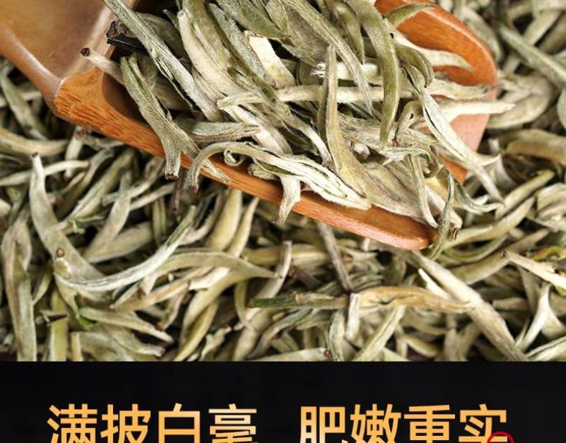 云南景谷无量山白毫银针