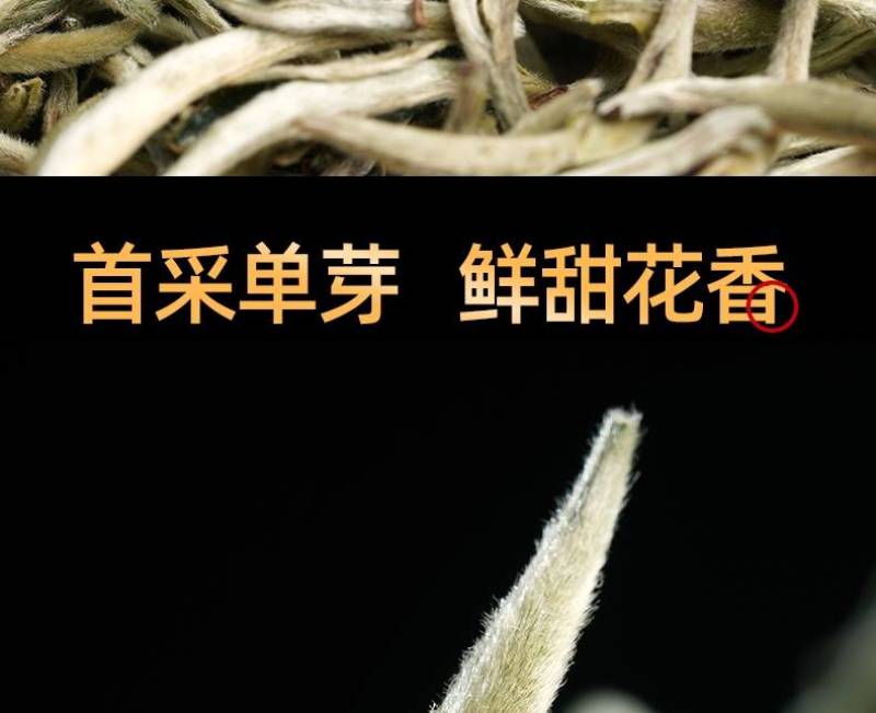 云南景谷无量山白毫银针