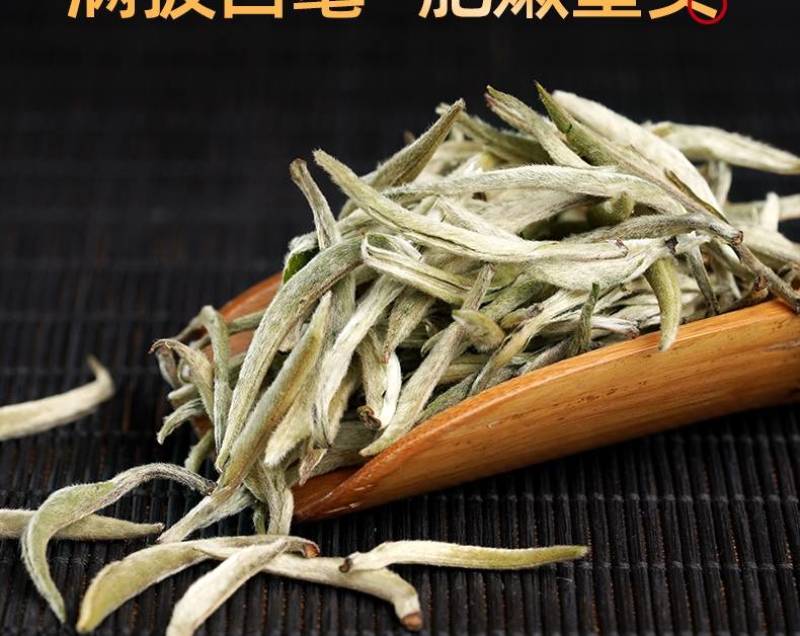 云南景谷无量山白毫银针