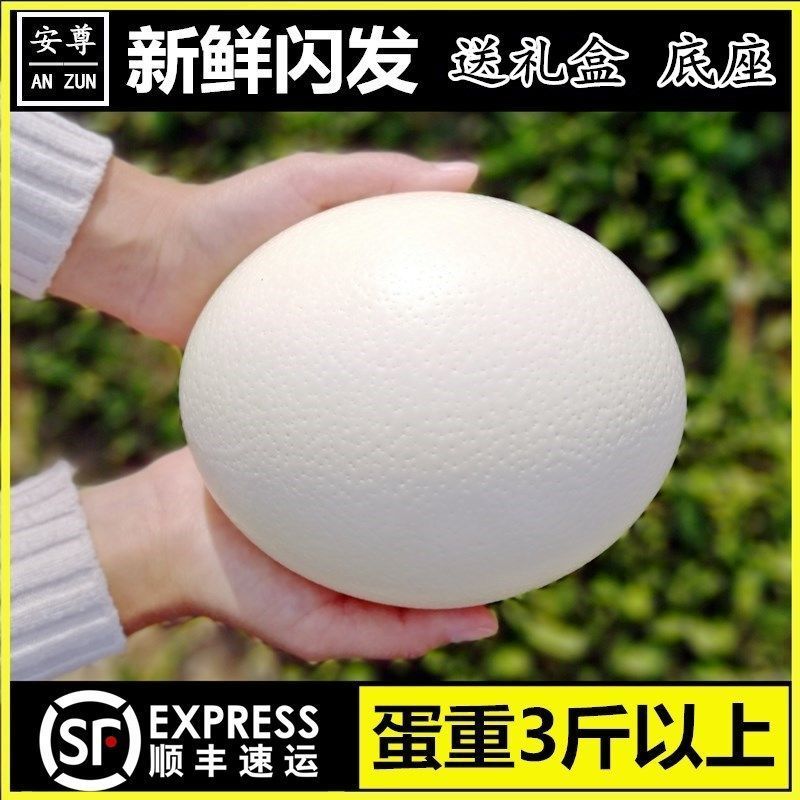 超特大鸵鸟蛋新鲜鸸鹋蛋食用蛋大号不受精五月端午节