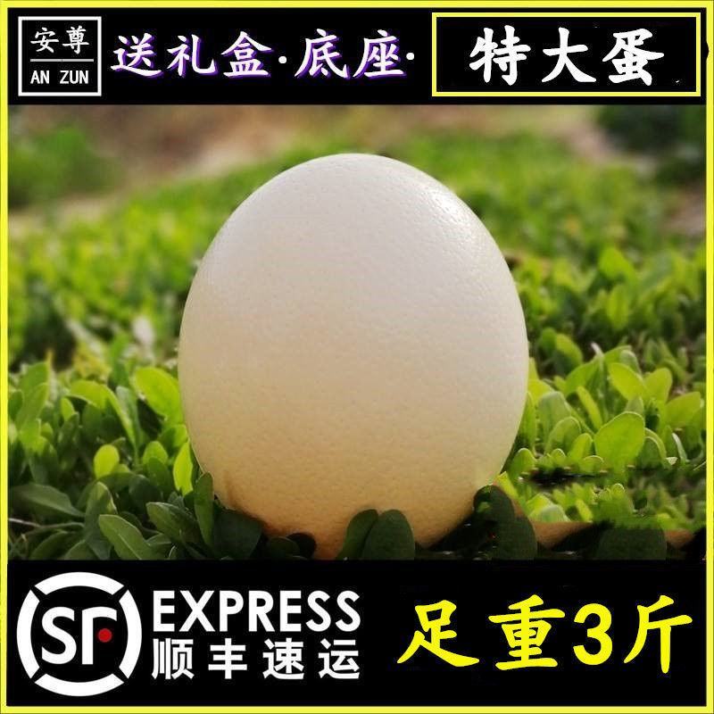 超特大鸵鸟蛋新鲜鸸鹋蛋食用蛋大号不受精五月端午节