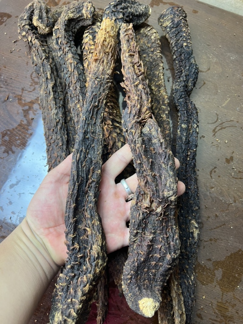 油苁蓉2根一斤阿拉善肉苁蓉整根内蒙古发货非锁阳