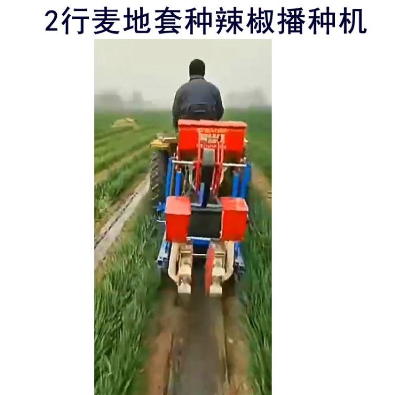 麦地套种辣椒播种机4行小麦套播辣椒覆膜播种机2行朝天椒播