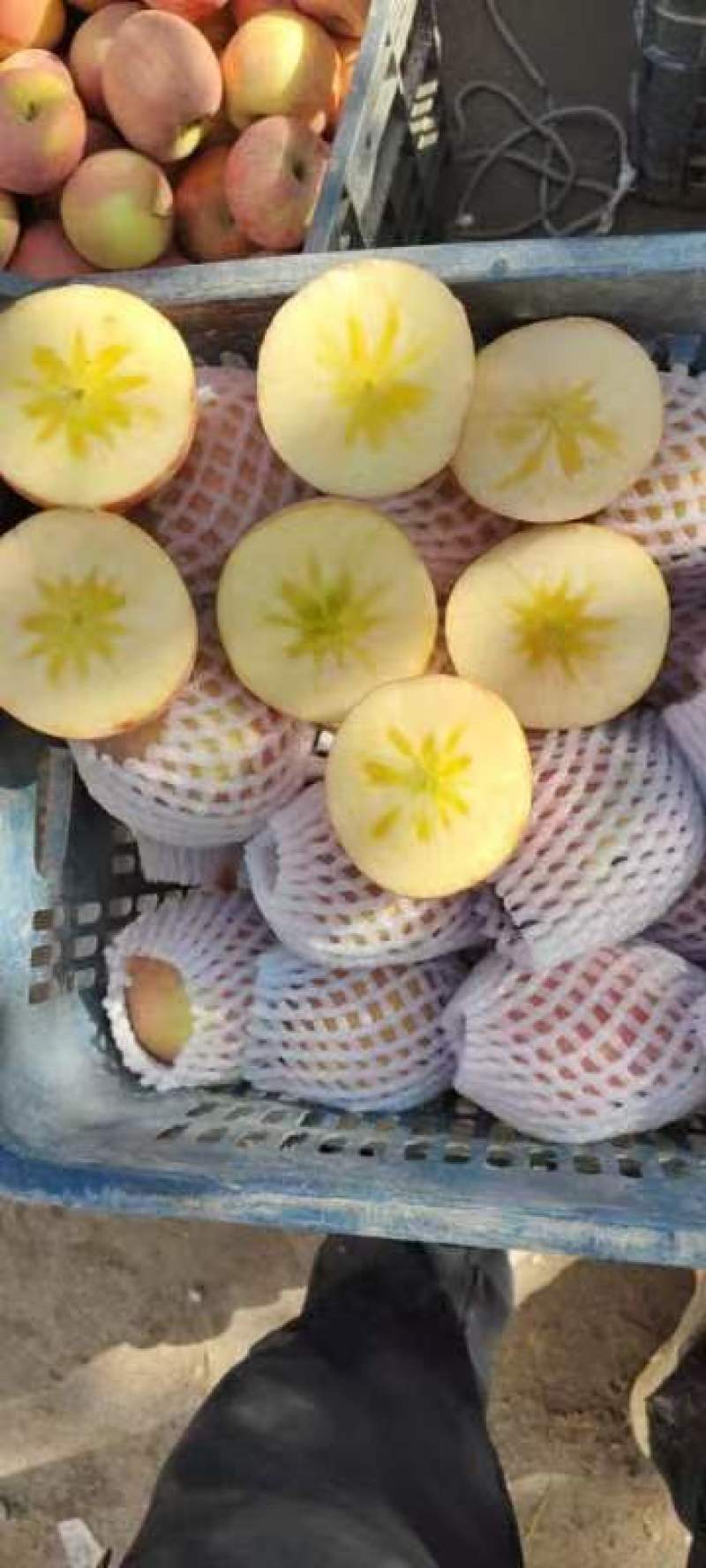 新疆阿克苏红旗坡冰糖心苹果，