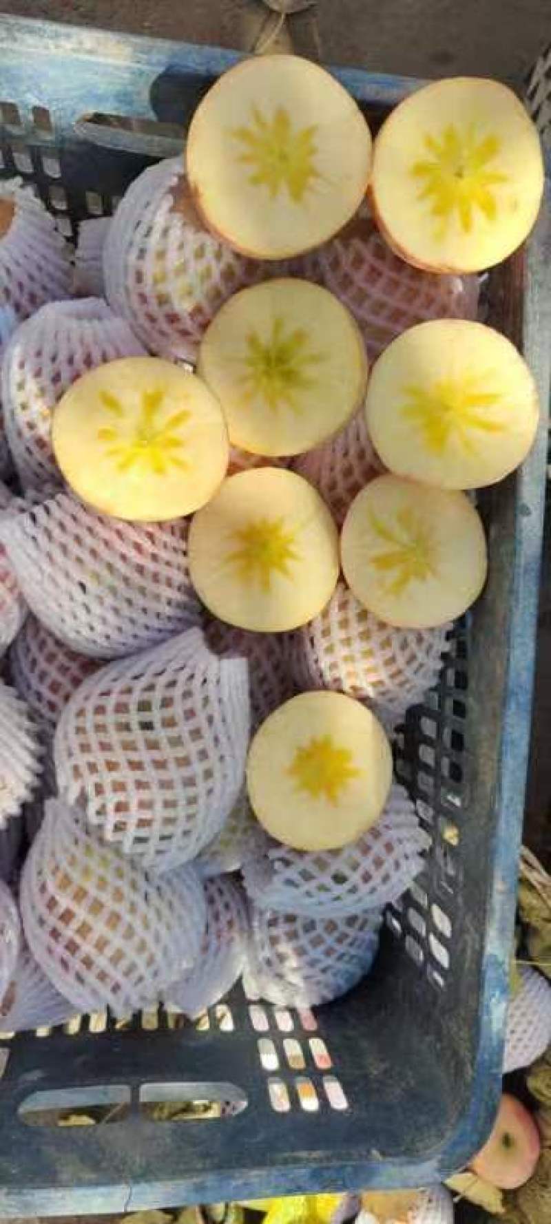 新疆阿克苏红旗坡冰糖心苹果，