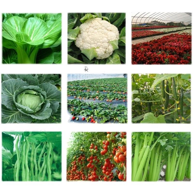 振亚20%异丙威草莓蔬菜大棚用烟熏剂白粉虱蚜虫杀虫烟雾剂