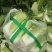 北京3号白菜大量有货需要联系了