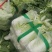 北京3号白菜大量有货需要联系了