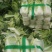 北京3号白菜大量有货需要联系了