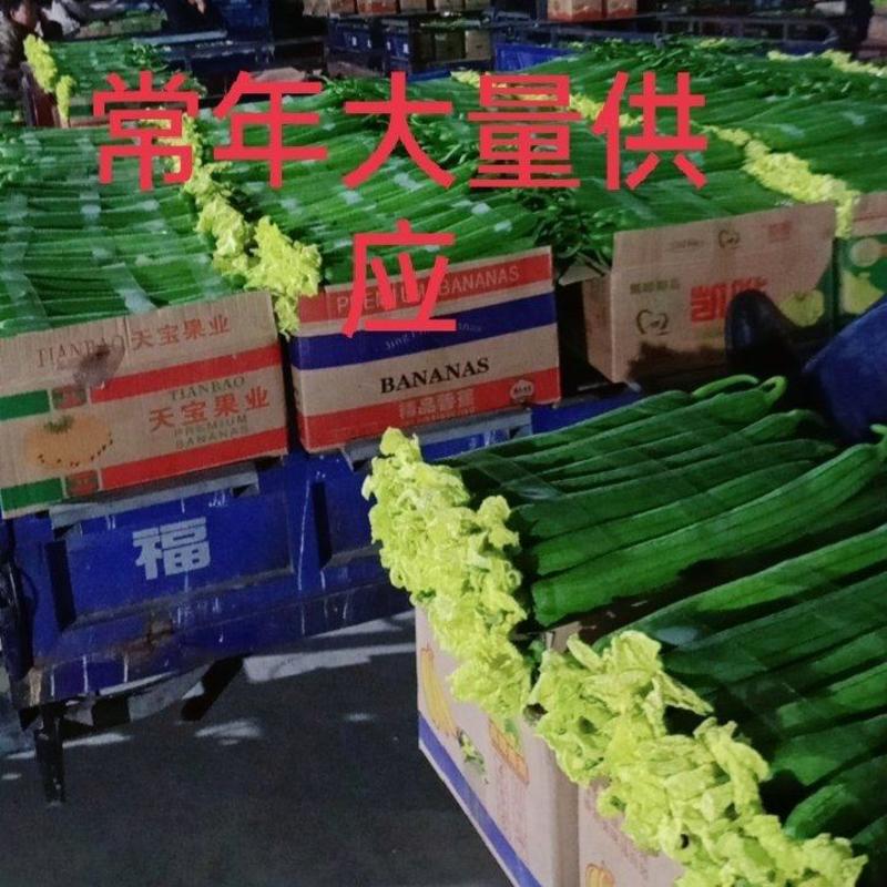 江苏连云港东海精品鲜花丝瓜大量上市中