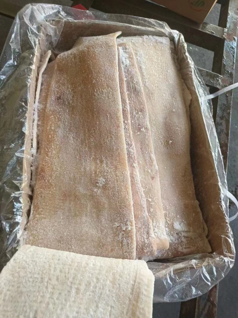 精品脊皮
