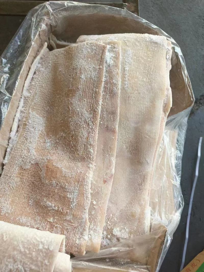 精品脊皮