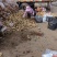 大家好，北京土豆种子公司，人工分捡，保质量，入库二次脱毒