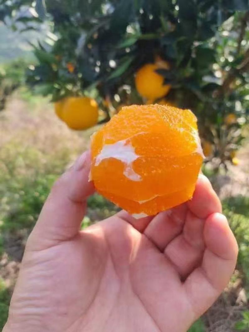 爱缓橙九月红，纽荷尔，长虹，血橙自家果园无中间商。