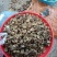 2023年云南薄皮核桃果，核桃仁，个大饱满，囗感酥脆