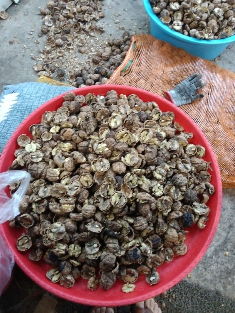2023年云南薄皮核桃果，核桃仁，个大饱满，囗感酥脆