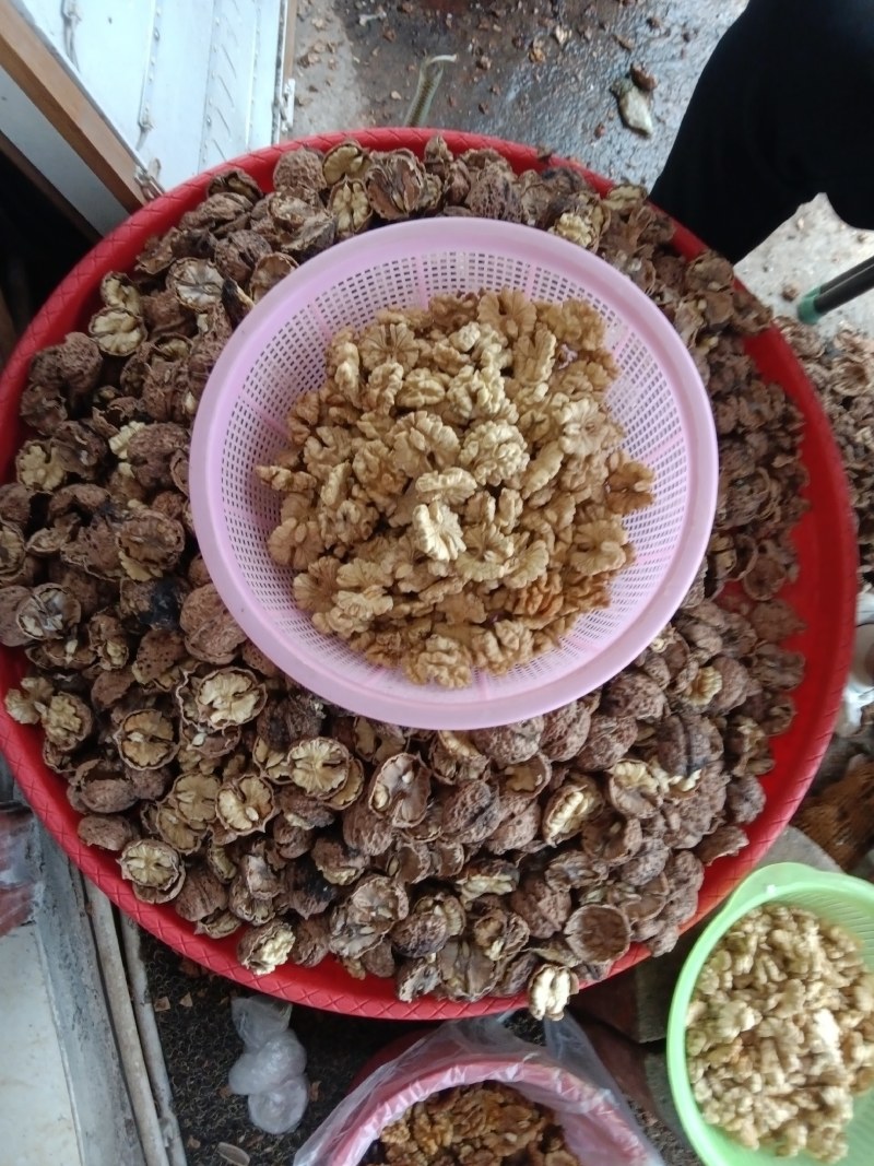 2023年云南薄皮核桃果，核桃仁，个大饱满，囗感酥脆