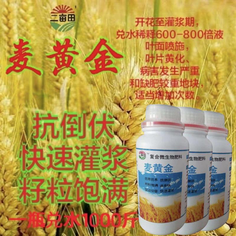 【厂家直供】叶面肥：麦黄金高产专用促进分裂高抗伏增产增收