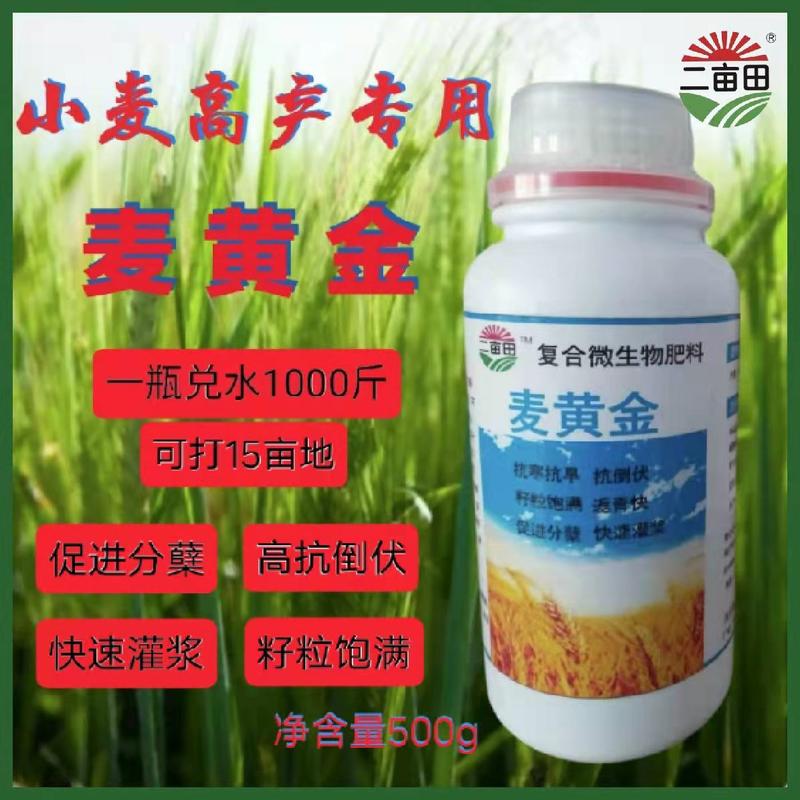 【厂家直供】叶面肥：麦黄金高产专用促进分裂高抗伏增产增收