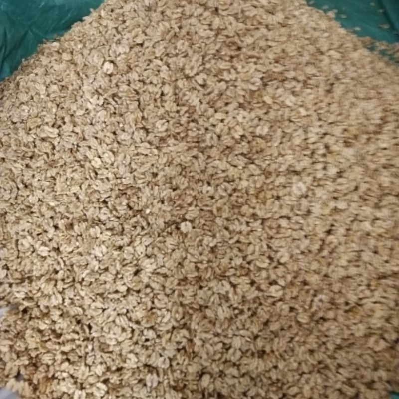 2023年云南薄皮核桃果，核桃仁，个大饱满，囗感酥脆