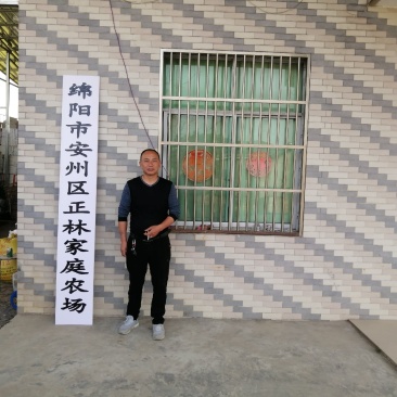 基地l儿菜，