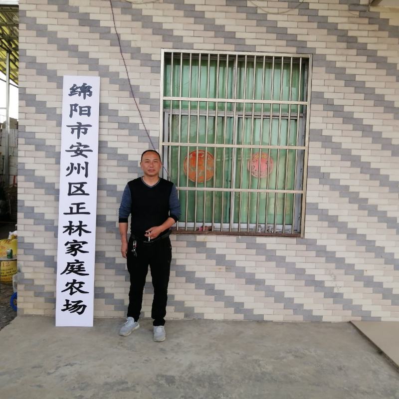 基地l儿菜，