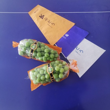 精品葡萄包装袋袋梯形葡萄套袋一面透明防雾保鲜膜一面纸