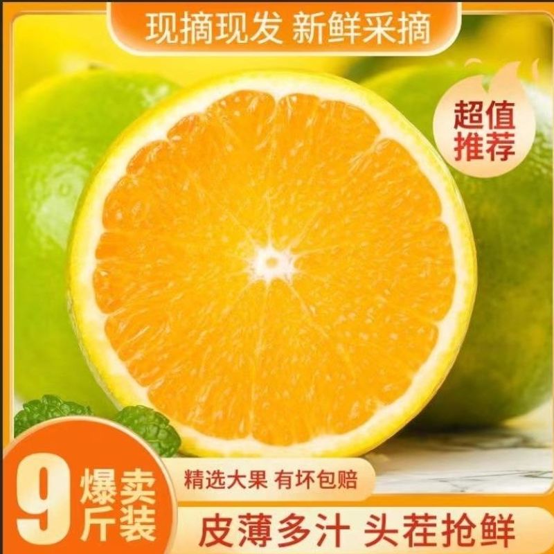 云南【冰糖橙】一件代发/电商/微商/直播平台/产地直供