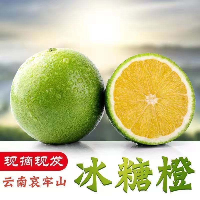 云南【冰糖橙】一件代发/电商/微商/直播平台/产地直供