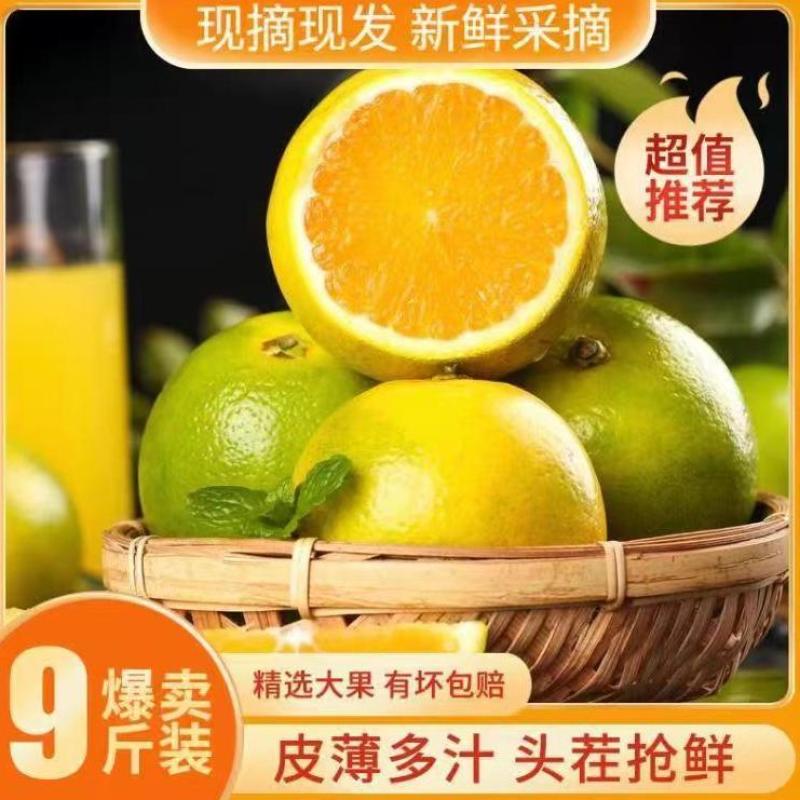 云南【冰糖橙】一件代发/电商/微商/直播平台/产地直供