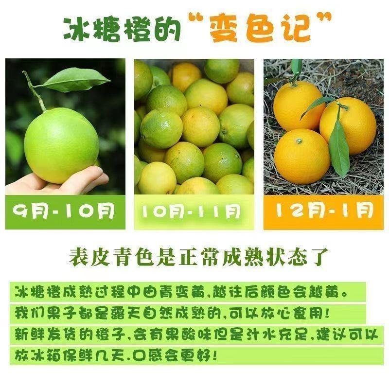 云南【冰糖橙】一件代发/电商/微商/直播平台/产地直供