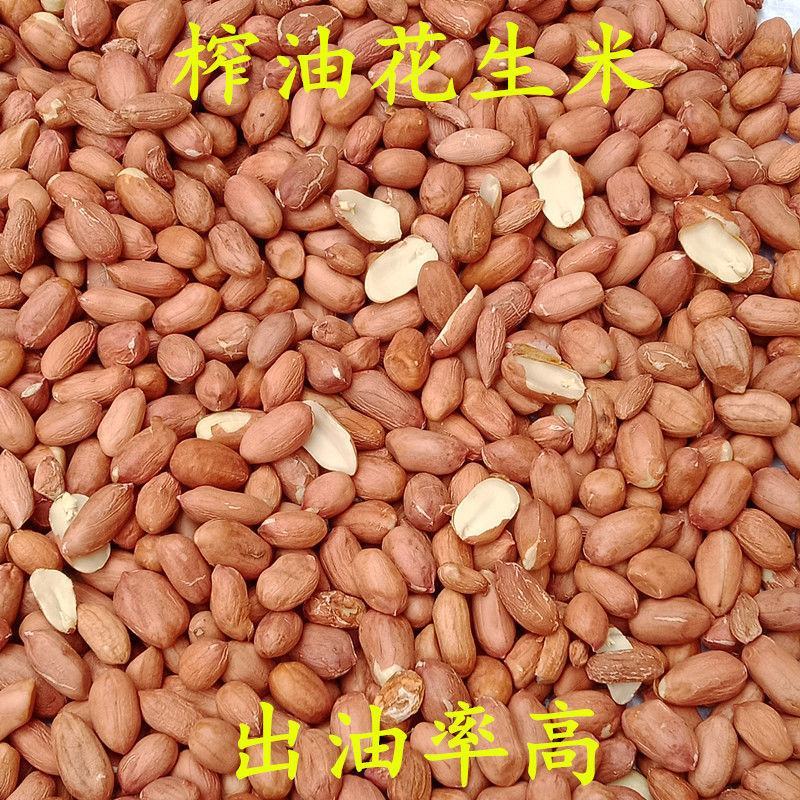 花生米生新50斤装饭店烧烤榨油专用大粒农家自产散装花生米