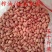 花生米生新50斤装饭店烧烤榨油专用大粒农家自产散装花生米