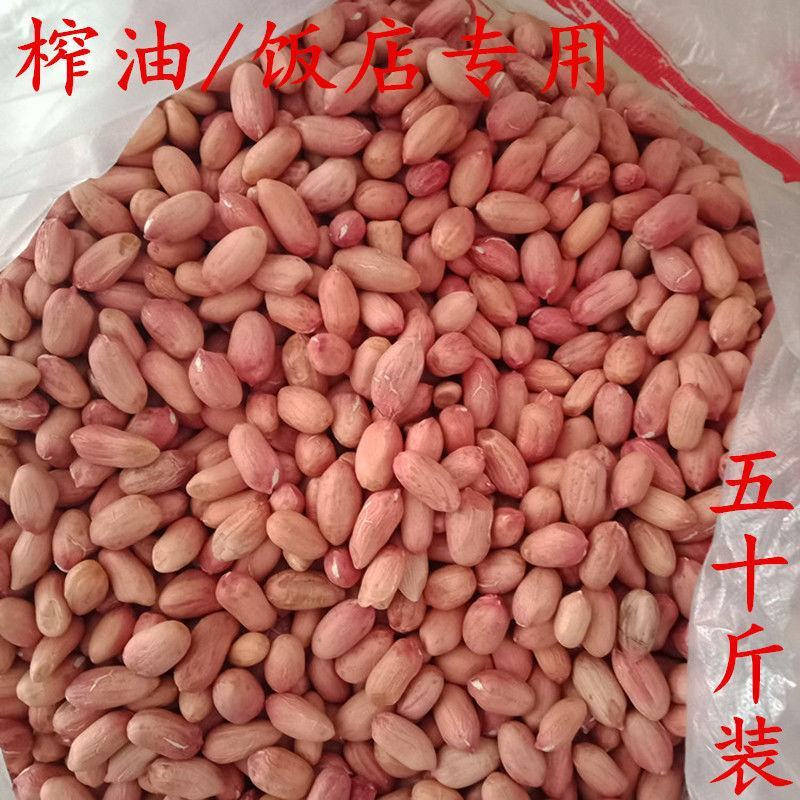 花生米生新50斤装饭店烧烤榨油专用大粒农家自产散装花生米