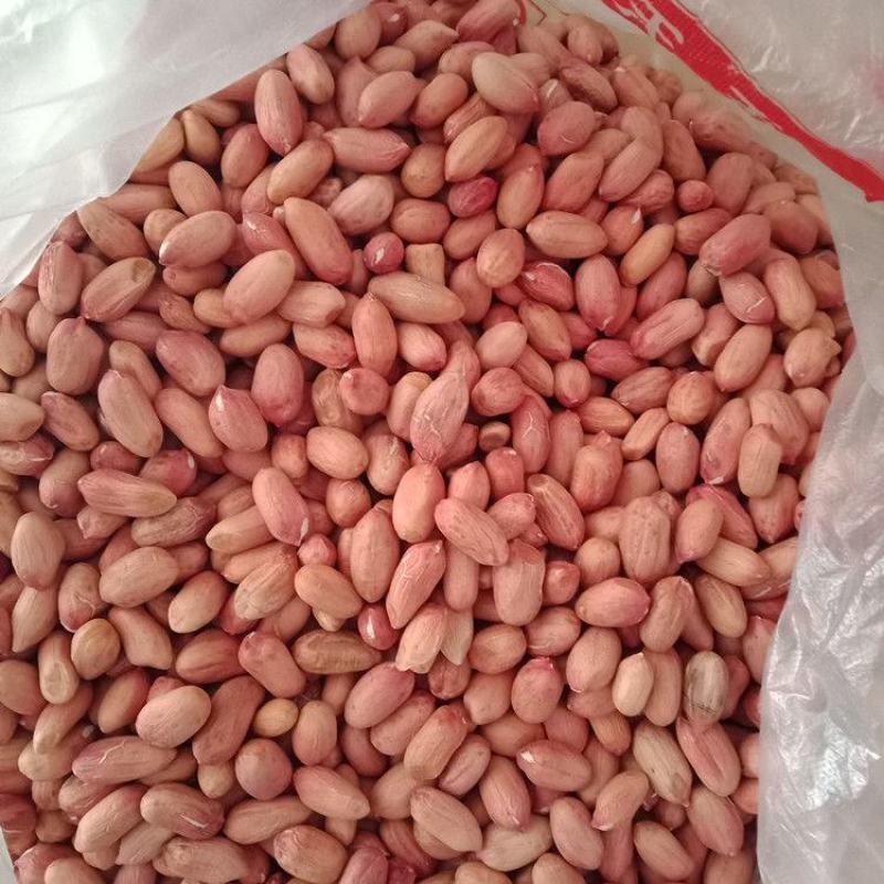 花生米生新50斤装饭店烧烤榨油专用大粒农家自产散装花生米