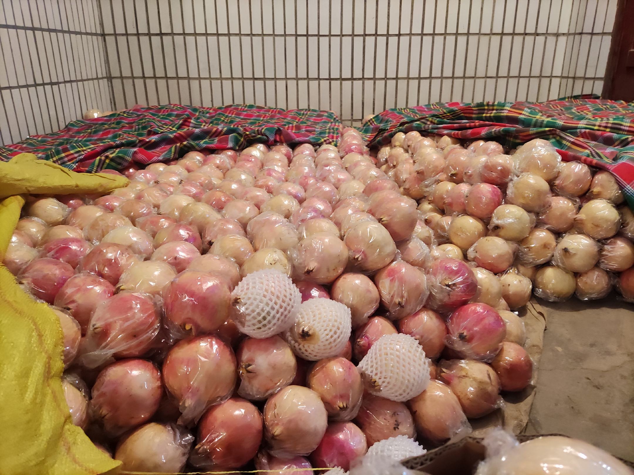 清水湾石榴正在进行分级包装,准备发往全国各地 清水湾石榴包装与运输现场