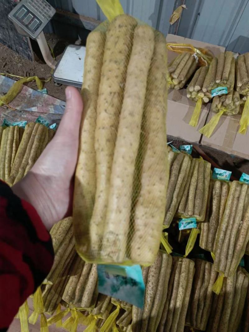 河北精品山药铁棍山药，口感软糯香甜欢迎采购咨询