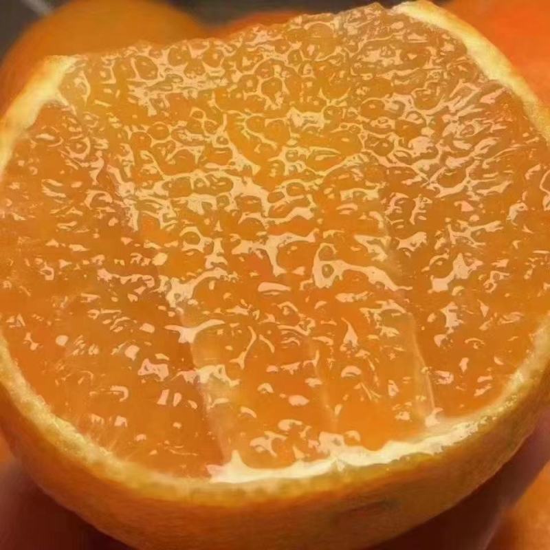 秭归九月红橙子，爆汁果冻橙，皮薄味甜果肉细腻无渣，诚招全