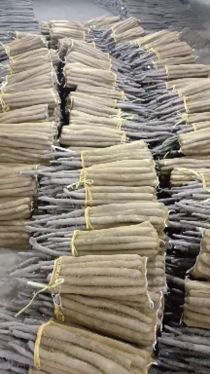 《热卖中》河北山药网袋山药